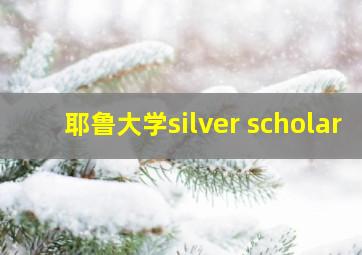 耶鲁大学silver scholar